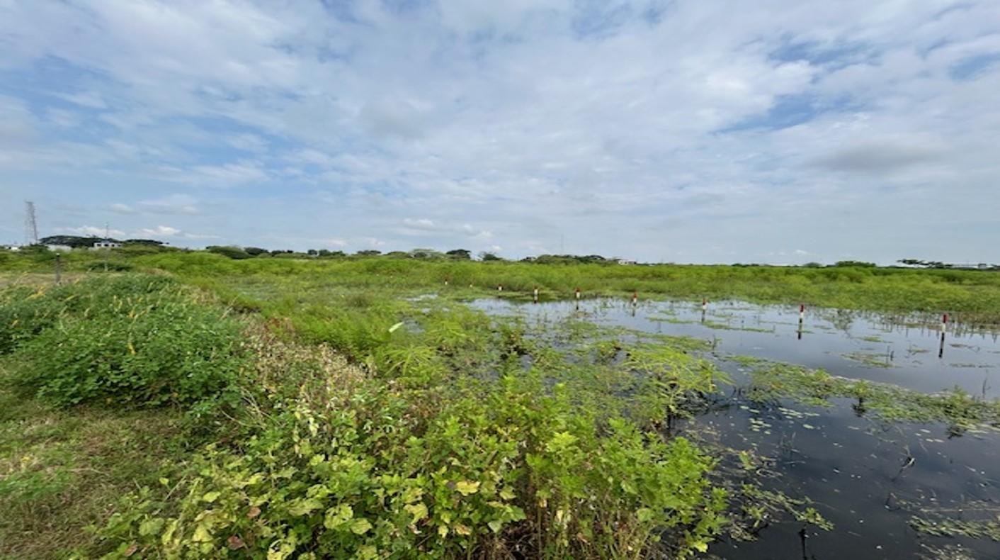 Terreno plano y delimitado – 3.000 m² en Las Brisas, Durán Lote 69