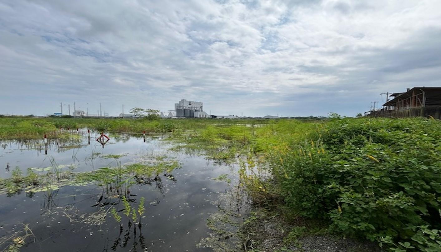 Terreno plano y delimitado – 3.000 m² en Las Brisas, Durán Lote 69