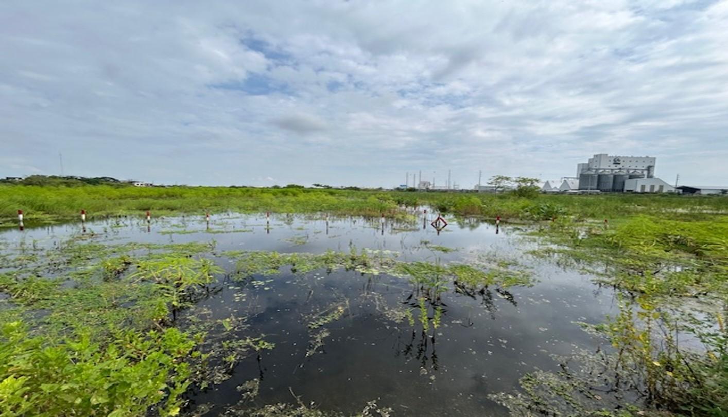 Terreno económico de 2.905 m² – Ideal para desarrollo logístico en Durán Lote 70