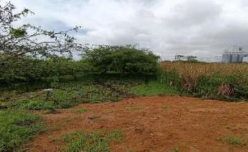 Terreno plano y delimitado – 3.000 m² en Las Brisas, Durán Lote 69