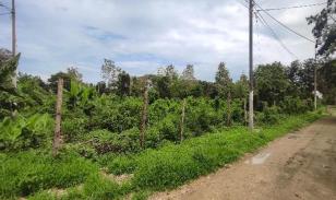 Lote de terreno en Same